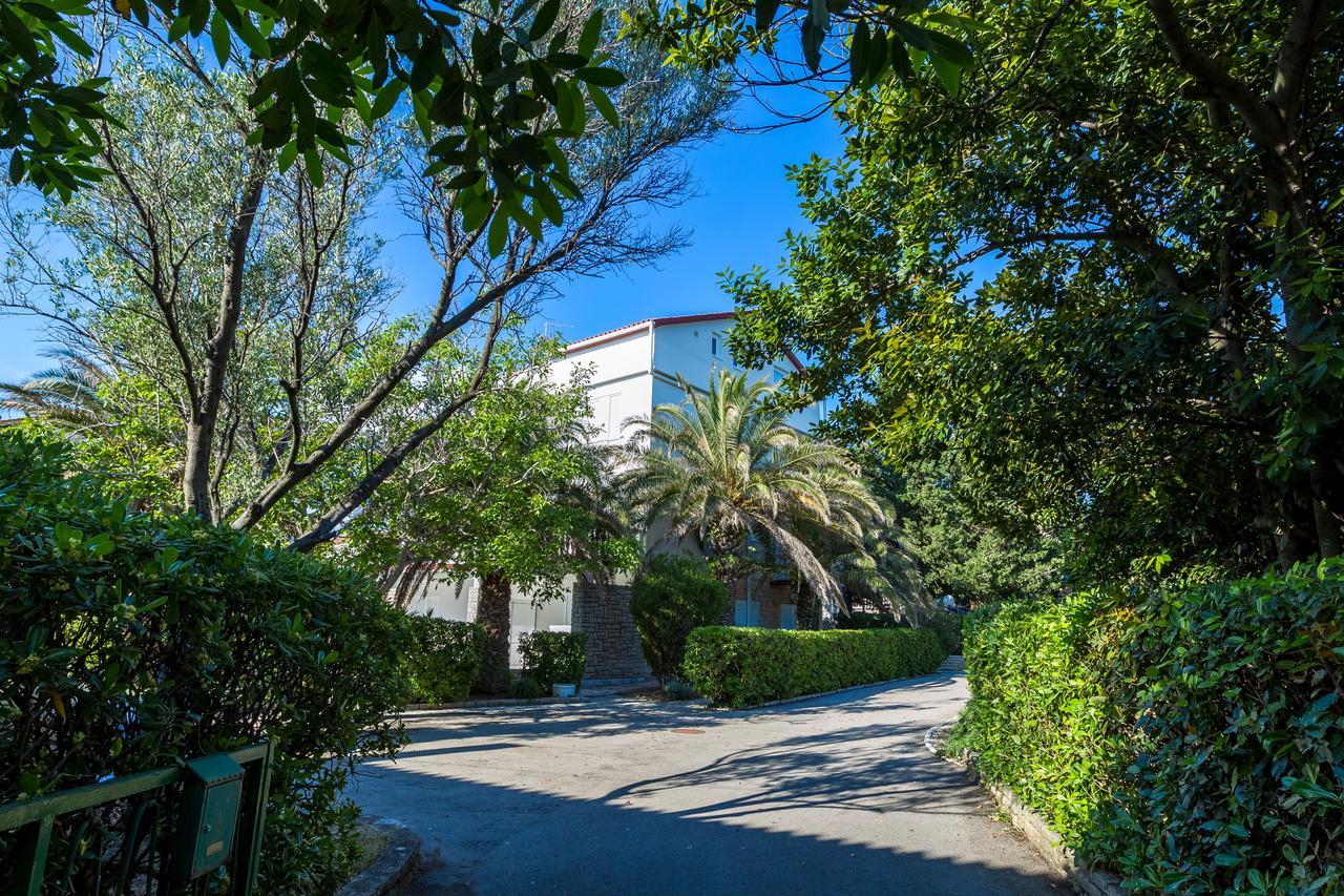Pool Apartments Galeb 诺瓦利娅 外观 照片